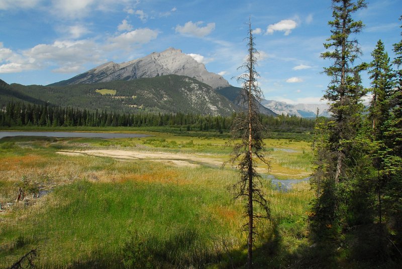 DSC_4045.JPG