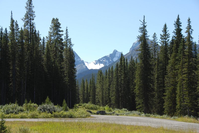DSC_6833.JPG