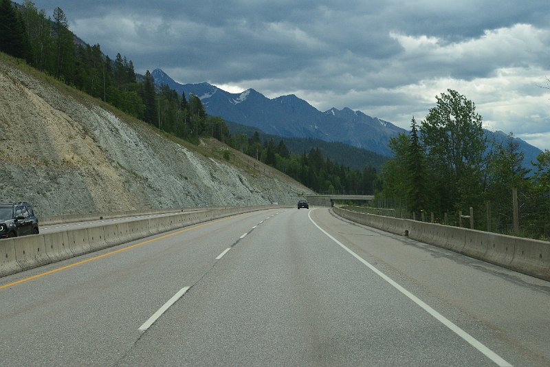 DSC_1868.JPG
