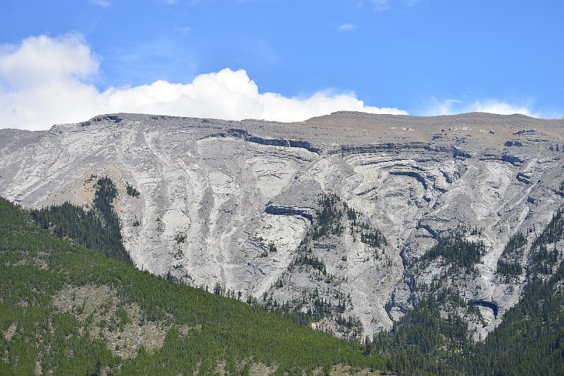 DSC_2770.JPG