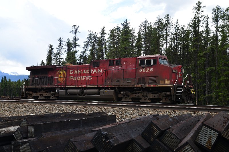 DSC_2793.JPG