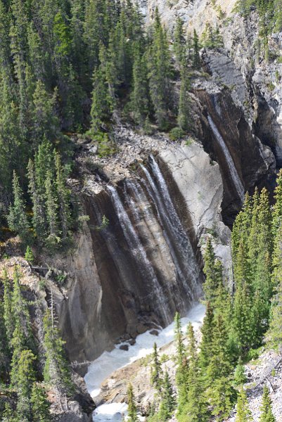 DSC_3481.JPG