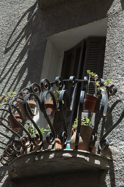 DSC_0353.jpg