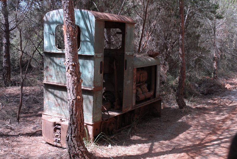 DSC_1482.JPG