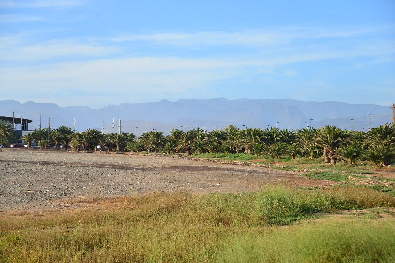 DSC_2456.JPG
