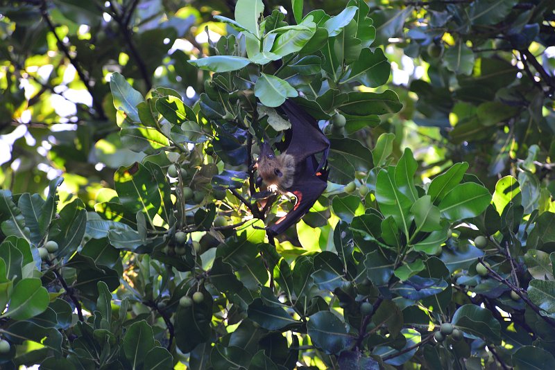 DSC_6610.JPG