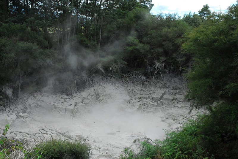DSC_2238.JPG