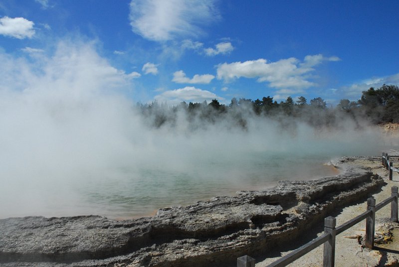 DSC_2341.JPG