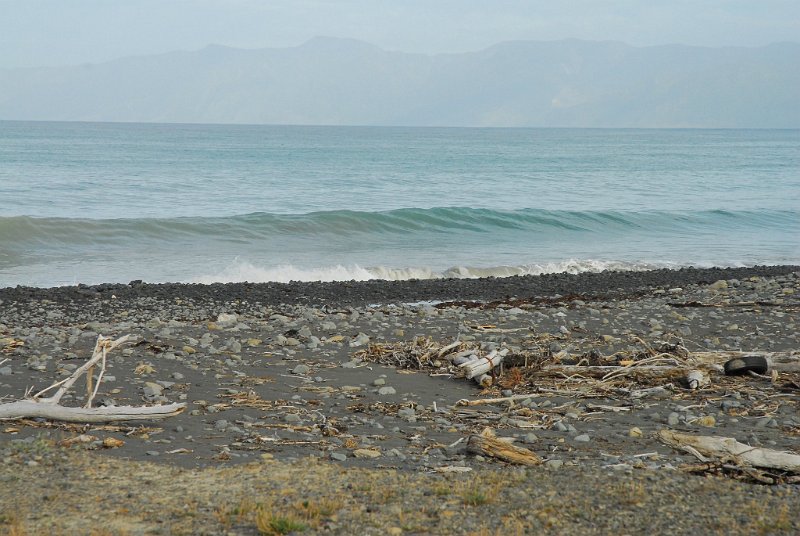 DSC_2576.JPG