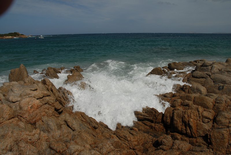 DSC_7992.JPG