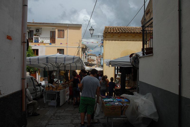 DSC_8336.JPG