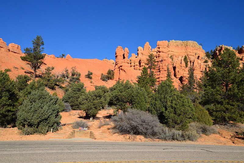 DSC_0491.JPG