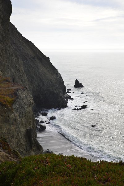DSC_1517.JPG