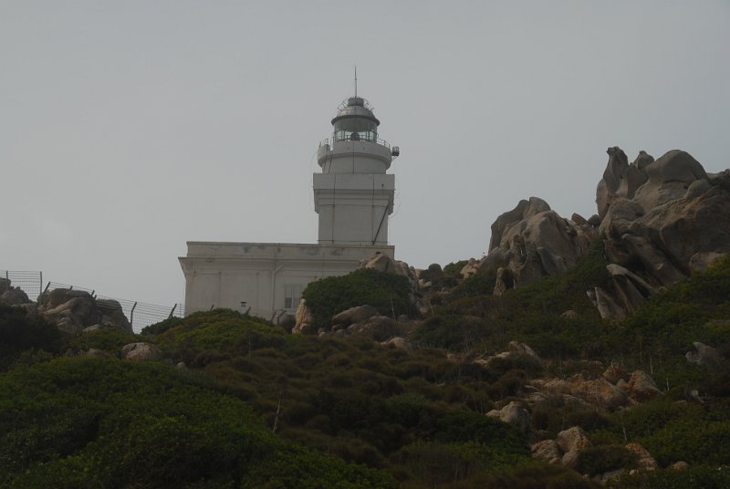DSC_8096.JPG