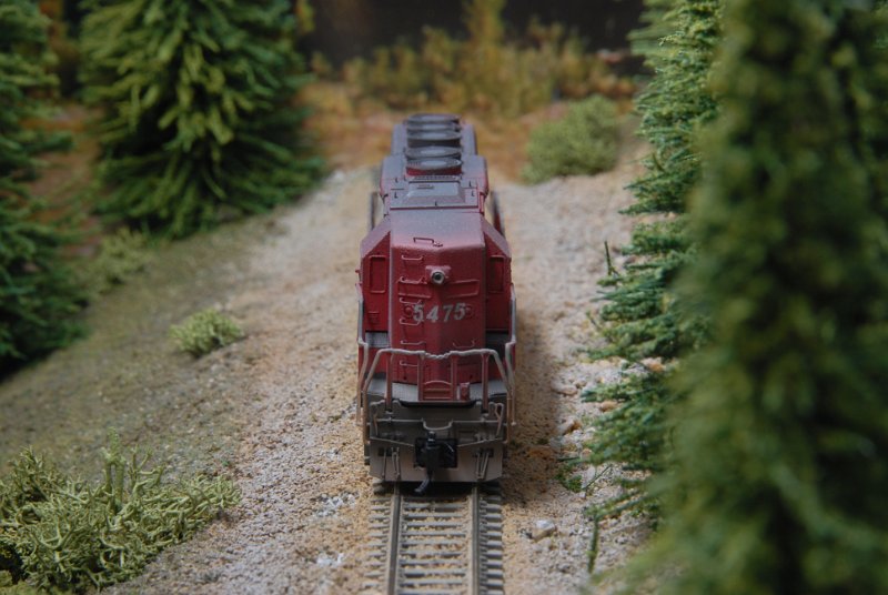 DSC_9357.JPG
