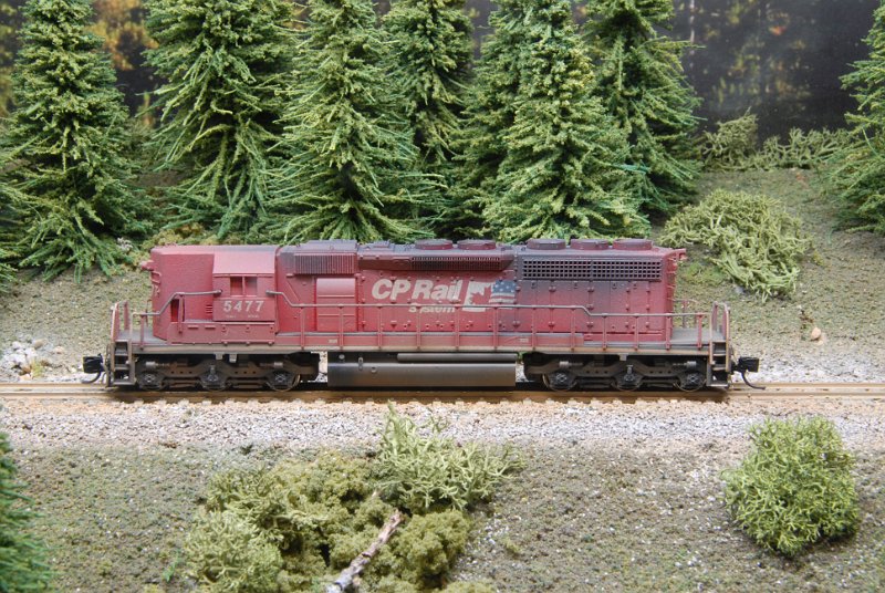 DSC_9324.JPG