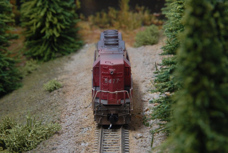 DSC_9361.JPG