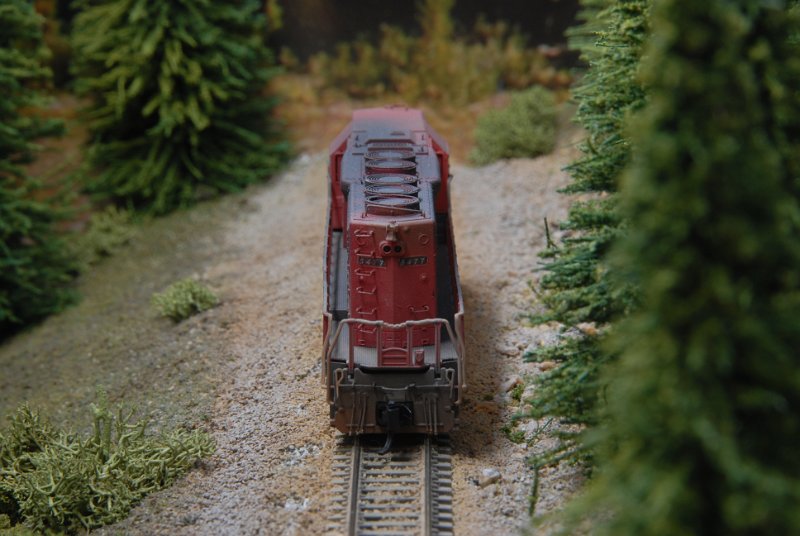 DSC_9362.JPG