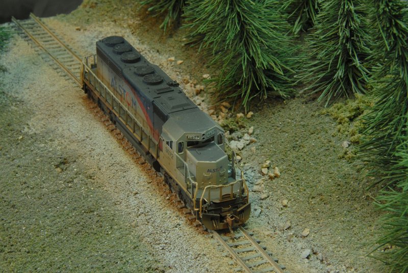 DSC_9218.JPG