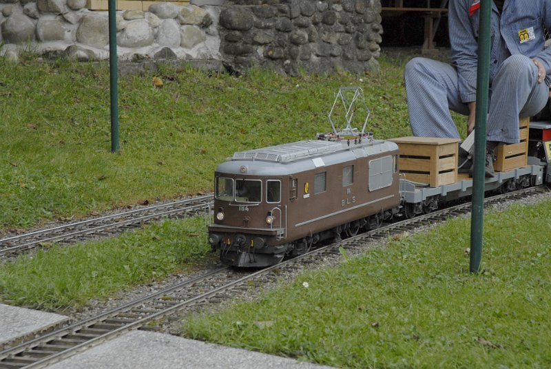 _DSC1641.JPG