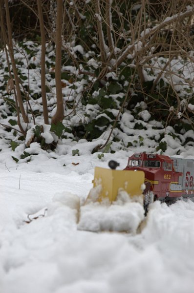 DSC_1046.jpg