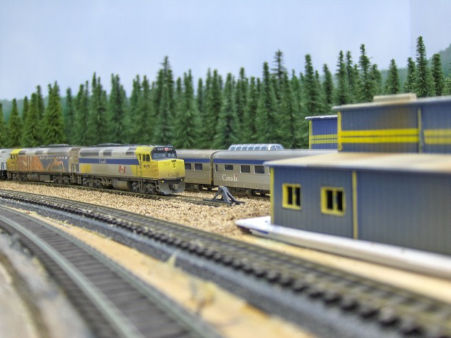 yard002.jpg