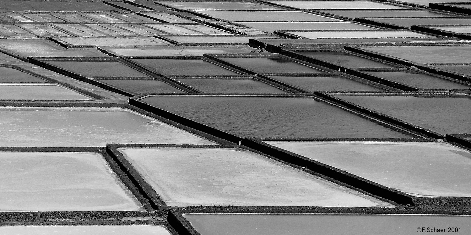 Horizonte 154.jpg - shows the Salinas de Janubio at the western edge of theisland of Lanzarote, Canary Islands, Spain. This saltpans werecreated around 1895 and are still in use. At the peak they producedmore than 10'000 tons of salt, preferrably used for fish-conservation.I was impressed about the strong geometric pattern of the dams andthe salty ponds between, therefore I converted the original slidein black and white.   click here for Google Maps View   Position: N28°56'18" W13°49'07" at sealevel Camera: Nikon F601 on Ektachrome 100, date: 16/02/2001