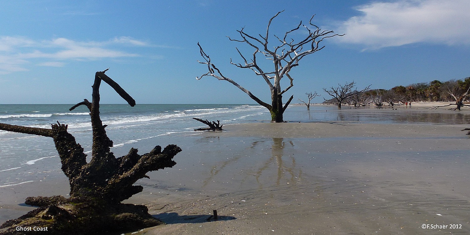 Horizonte 157.jpg - shows the eastern coast of Edisto Island in South Carolina.The coast is named "Ghost Coast" due to the many old extinct treesas a result of the erosion of the sandy islands oceanside due to theendless waves and tides of the atlantic ocean. The coastline undergoesan everlasting changes over the past and future centuries.   click here for Google Maps View   Position: N32°32'41" W80°13'48" at sealevel Camera: Panasonic TZ20, date: 18/03/2012, 12:20 local