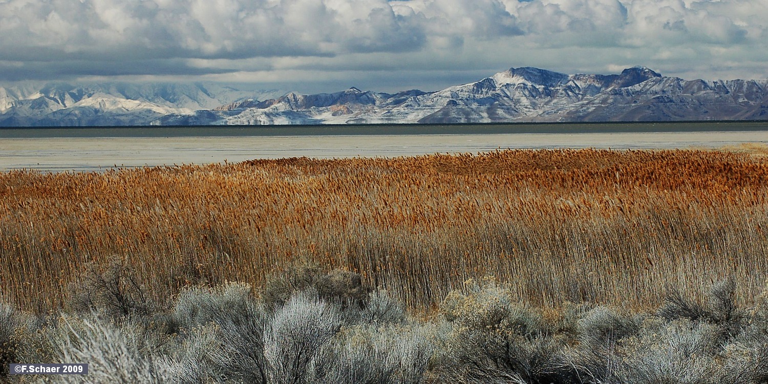 Horizonte 161.jpg - made on an very cold early morning on Antelope Island State Parkin the Great Salt Lake, north of Salt Lake City. This Island covers 115 km2or 2800 acres and is accessable by a 11,5 km road-dam. We both camped there in cold temperatures and were the only humans during the night. Wild Buffalosas well as Antelopes roamed around our campground and we had a great view tothe still snow-covered mountains across the huge lake.   click here for Google Maps View   Position: N41°02'25" W112°15'38", elev. 1295m/4250ft Camera: Nikon D50, date: 30/03/2009, 09:54 local