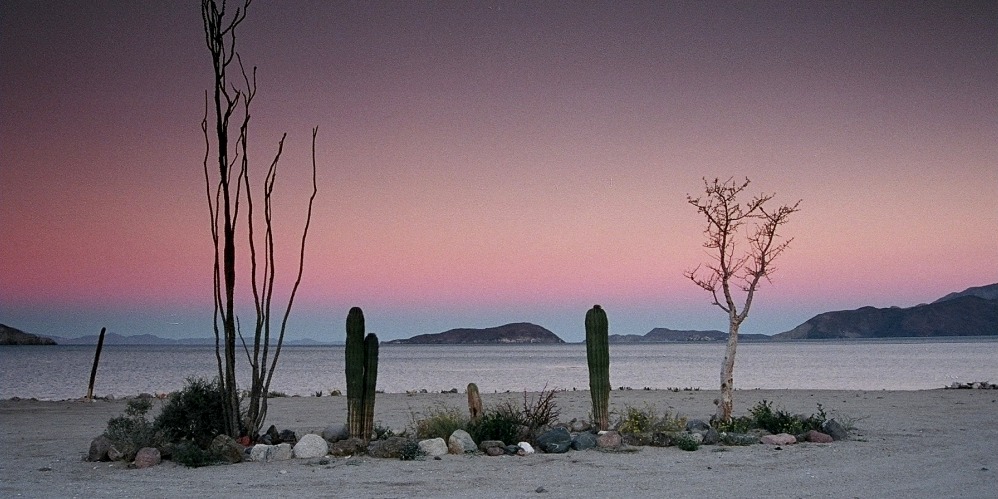 Horizonte 21.jpg - made in the very early morning of March 18, 2005 on a campground at the eastern shore of Baja California, north of the village of Bahia de los Angeles with my tiny Canon Ixus on Kodak APS-Film.    click here for Google Maps View   Position: N28°57'15" W113°33'25" Elev. 5m above Sea Level