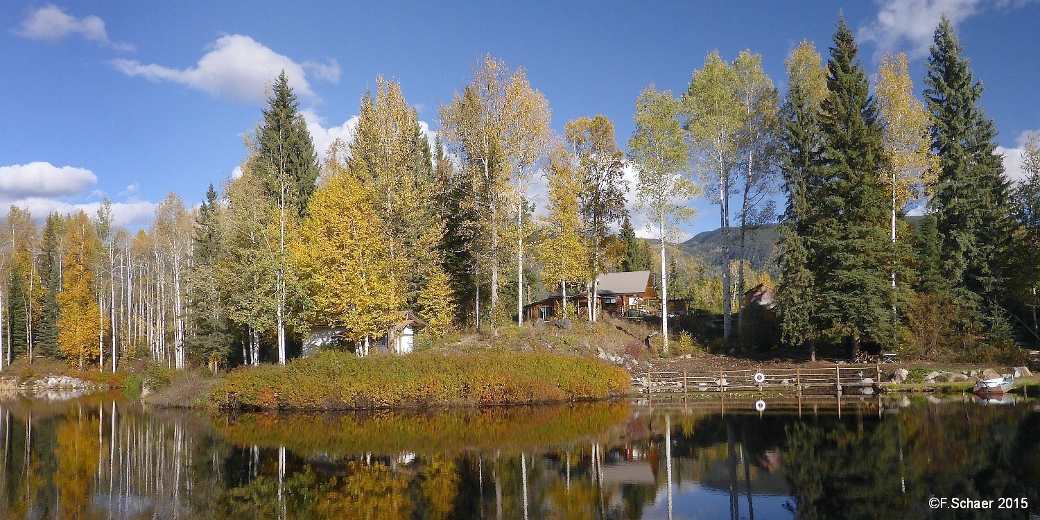 Horizonte 210.jpg - Indian-Summer arrived on our place in Upper Clearwater Valley   click here for Google Maps View   Position (camera): N51°53'02" W120°01'30", elev.710m/2335ft Camera: Lumix TZ41 Polfilter, date: 26/09/2015, 14:58 local time