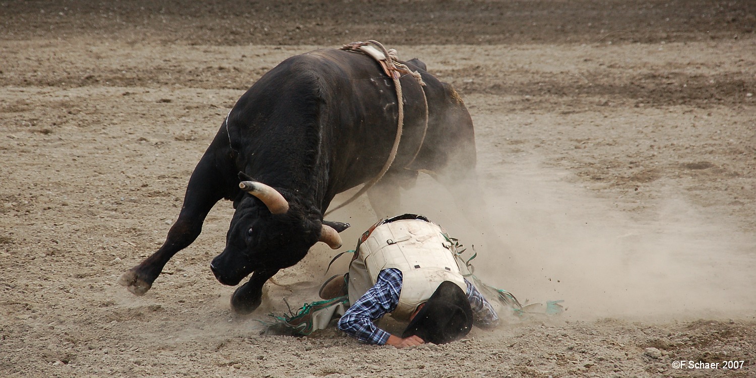 Horizonte 319.jpg - first weekend in September = Rodeo-time! Bullriding maybeone of the most spectacular performance, creating sometime loosers...Position: N 51°11'41"/W 120°07'27" (Barriere Rodeo)Camera: Nikon D50 w. Sigma 18-200mm, date: 02/09/2007, 16:55 local
