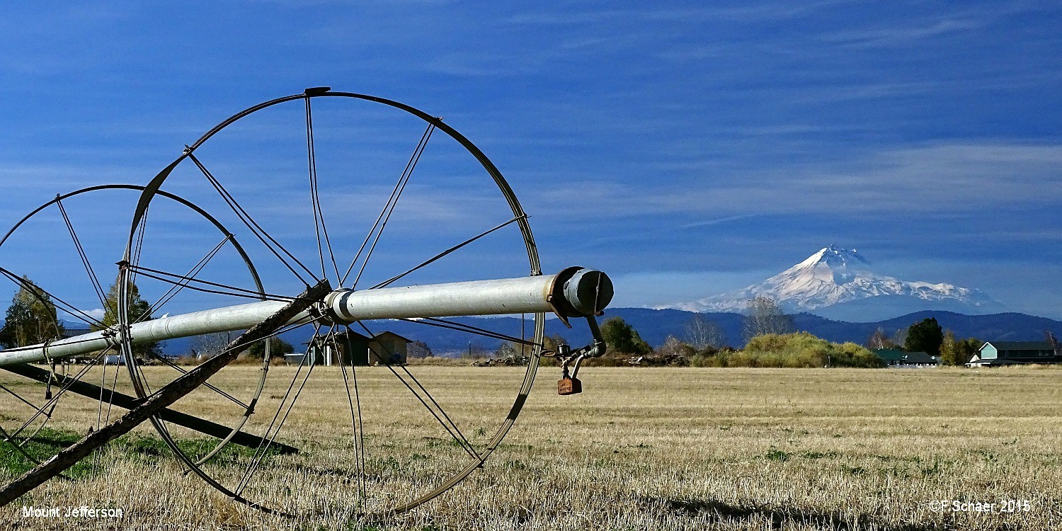 Horizonte 577.jpg - rural Farmland in Oregon with Mt.Jefferson, (3200m/14'530ft), an old extinct Volcano on the far Horizon Foto made on our way with our Motorhome to the Death ValleyPosition N 44°31'/ W 121°11' Date: 06/11/2015