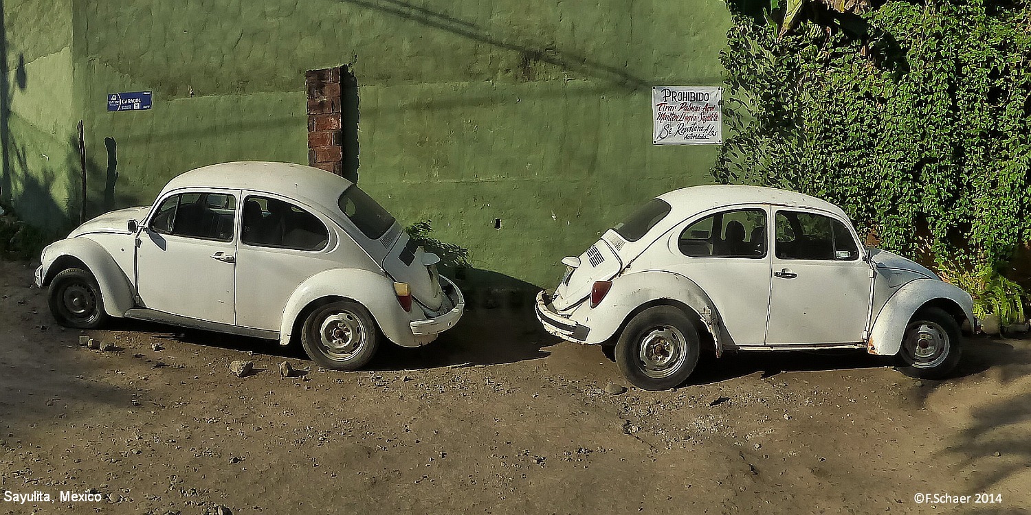 Horizonte 600.jpg - "Mexican Twins", Picture # 600 I made on an interesting stroll within the many narrow streets in Sayulita on the Mexican Pacific-Coast                   Date: 11/05/2014, Camera: Panasonic TZ 41