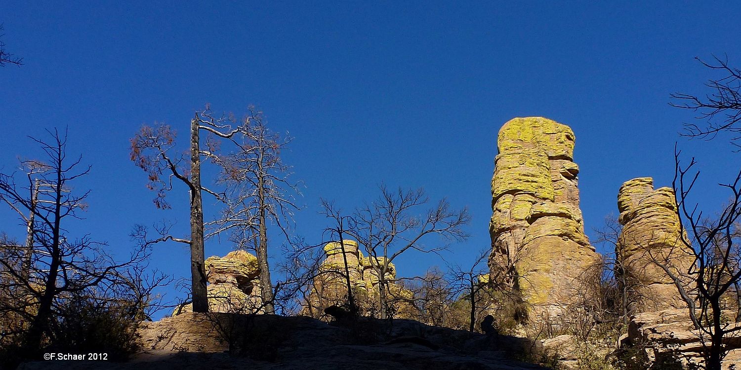 Horizonte 606.jpg - made on a long, strenous Walk in the Chricahua National-Monument in Arizona. Position: N 36°25' W 109°19' Date :28.11.2012Camera: Panasonic TZ