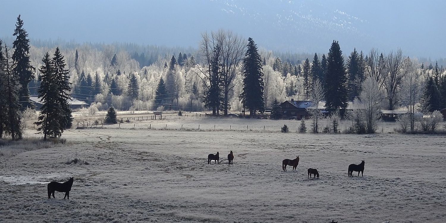 Horizonte 635.jpg - View from our property to our Neighbours Horse-pasture and their Wells Gray Guest Ranch on a cold wintery Mornin
