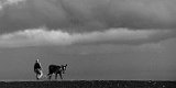 Horizonte 132