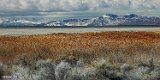 Horizonte 161
