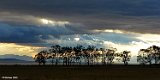 Horizonte 324
