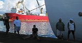 Horizonte 604