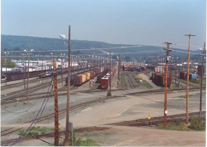 YARD_PR_GEORGE_001.jpg