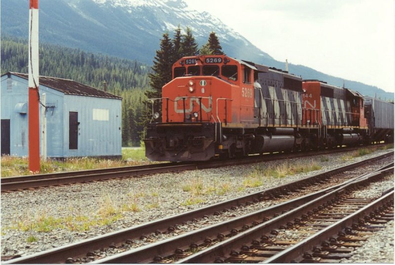 CN5269_1.jpg