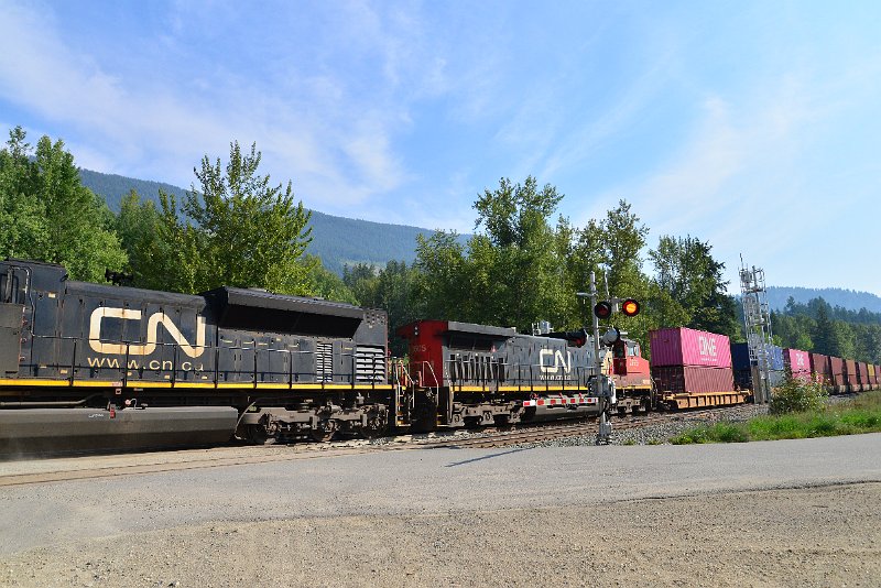 DSC_7139.JPG