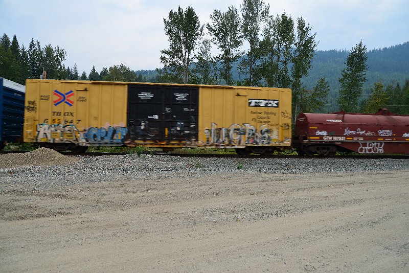 DSC_9115.JPG