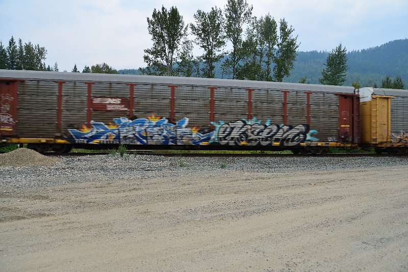 DSC_9124.JPG