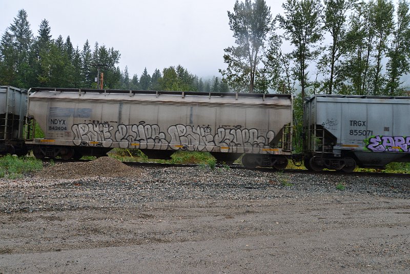 DSC_9162.JPG
