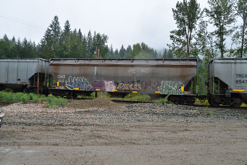 DSC_9222.JPG