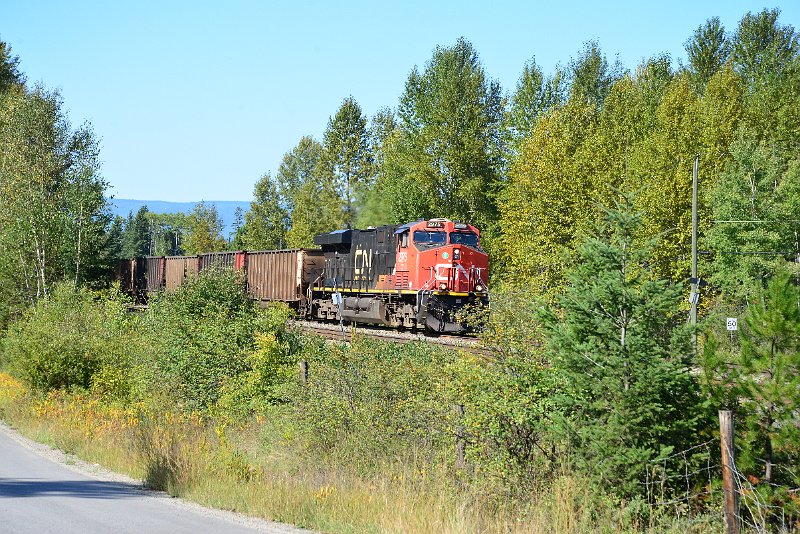 DSC_0217.JPG