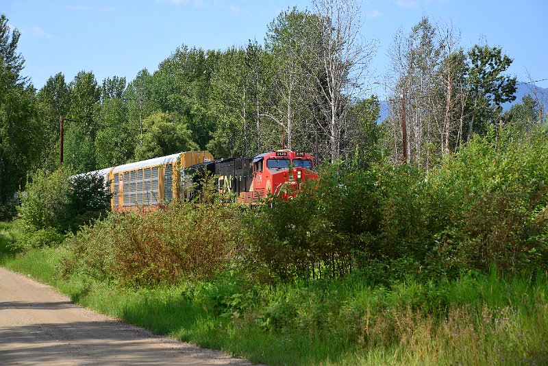 DSC_0478.JPG
