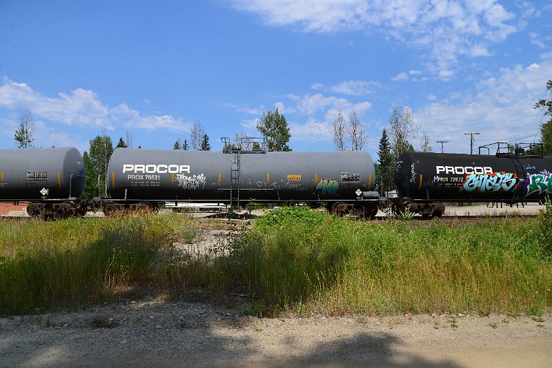 DSC_0486.JPG